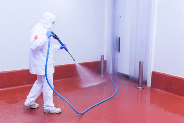 Best Paint Preparation  in Madison Park, NJ