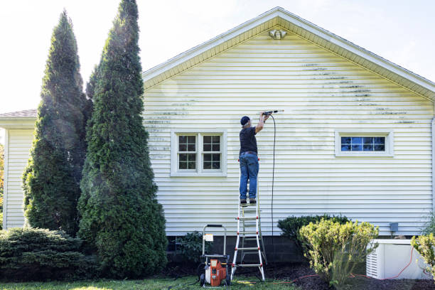 Best Sidewalk and Walkway Cleaning  in Madison Park, NJ