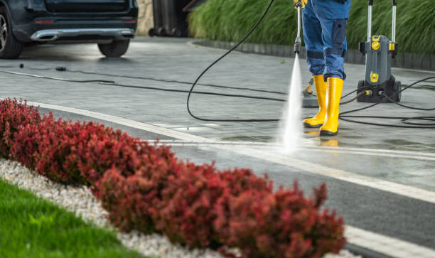 Best Driveway Pressure Washing  in Madison Park, NJ